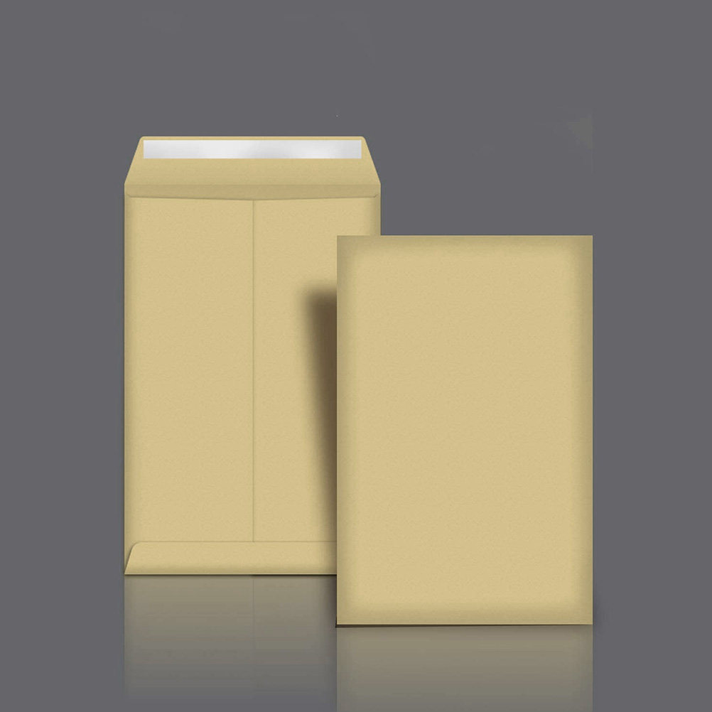 20Pcs Recyclable Kraft Envelop - Letter Envelope Kraft ulasan dan harga