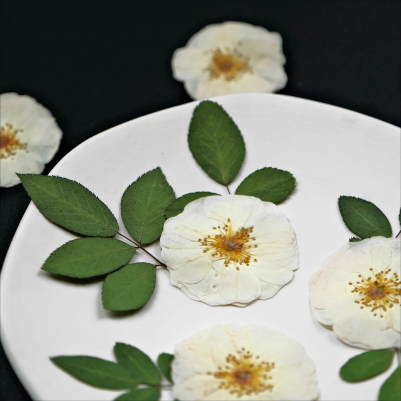 6pcs,9pcs,Nature White Rose Pr - Wax Seal Stamp Kit ulasan dan harga