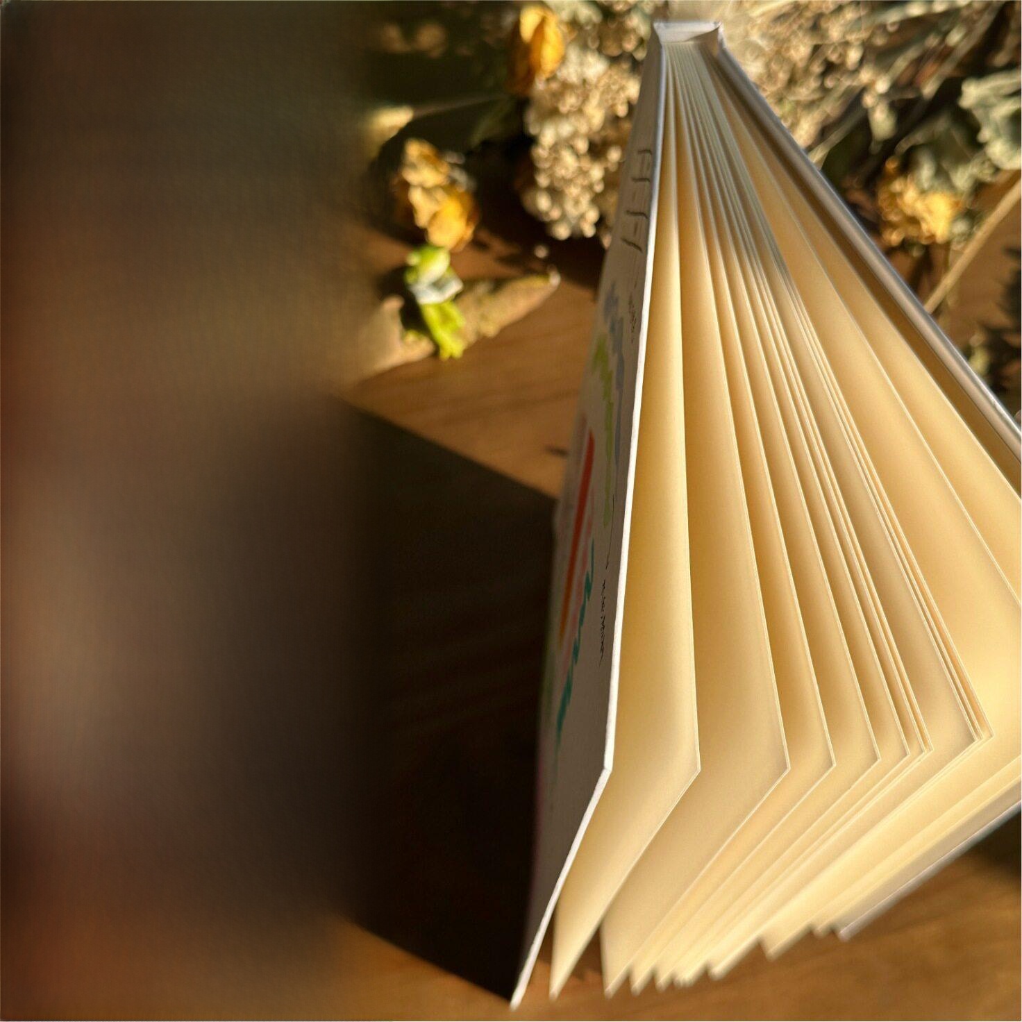 Hand Drawn Hard Cover Accordio - Journal Leather Hardcover ulasan dan harga